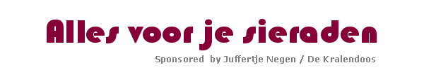 logo alles voor je sierraden.png